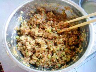 芹菜猪肉水饺的做法步骤：4