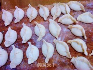 芹菜猪肉水饺的做法步骤：4