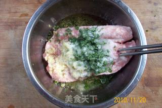 荠菜鲜肉中餐包的做法步骤：8