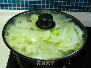 白菜粉条炖仔鸡的做法步骤：4