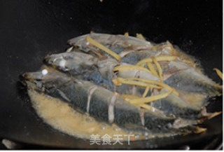 原汁原味姜丝煮鲅鱼的做法步骤：2