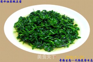 清水油盐豌豆苗的做法步骤：7