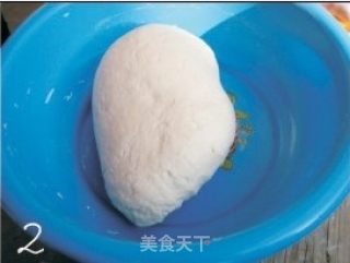 猪肉白菜馅包子的做法步骤：2