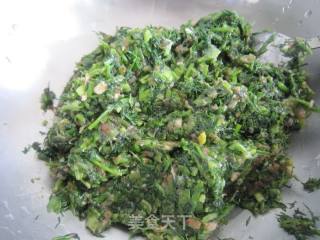 茴香猪肉包子的做法步骤：2
