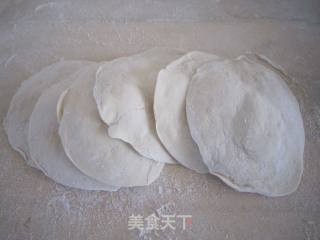 茴香猪肉包子的做法步骤：2