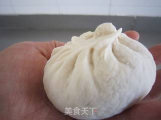 茴香猪肉包子的做法步骤：2