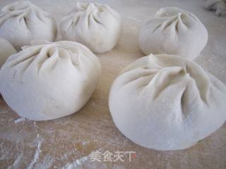 茴香猪肉包子的做法步骤：2