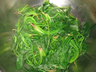姜汁菠菜的做法步骤：2