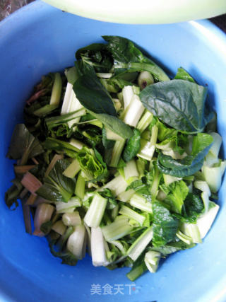 芋头青菜炒饭的做法步骤：2