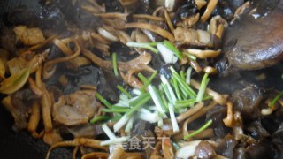 手撕茶树菇木耳炒肉片的做法步骤：2