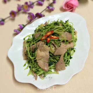 豆苗炒肉片的做法