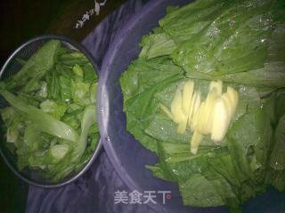 素炒芥菜的做法步骤：2