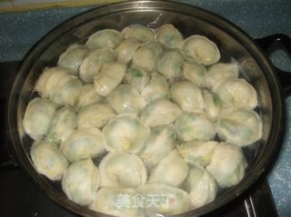 韭菜鸡蛋饺子的做法步骤：2