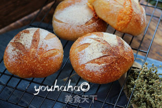 无糖油奶酪软欧面包的做法