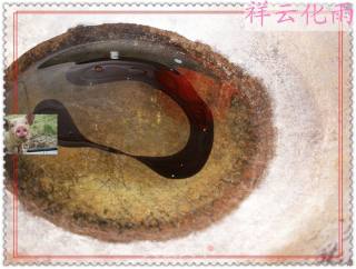 老鲁家的传统菜——鸭蛋黄狮子头的做法步骤：3