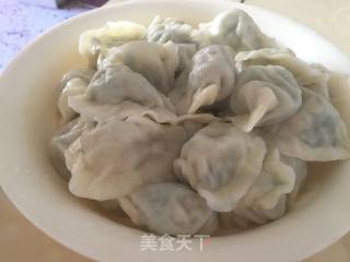韭菜鸡蛋猪肉饺子的做法