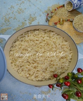 私菜食谱经－－糙米饭【铁铸锅版】的做法