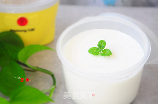 自制酸奶的做法