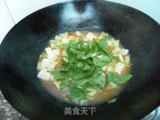 青菜炖豆腐的做法步骤：2