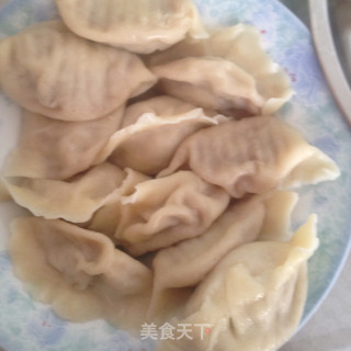 兔肉水饺的做法