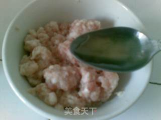 千层肉饼的做法步骤：2