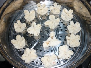 梅花饺子的做法步骤：4