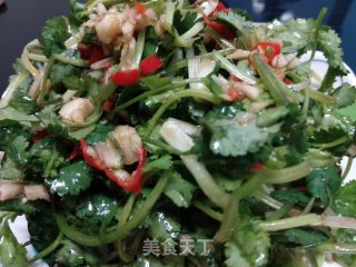 凉拌香菜的做法