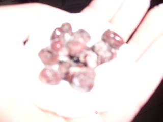 糯香红豆包的做法步骤：4