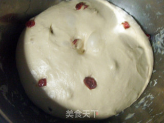 全麦蔓越莓吐司4（夜种法）的做法步骤：4