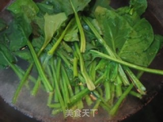 花样饭团--香煎菠菜饭团的做法步骤：6