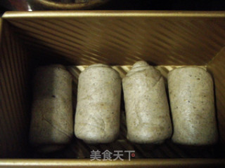 适合秋冬健康养生--黑芝麻核桃吐司（吐司之旅5）的做法步骤：5