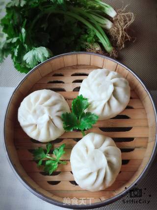 香芹肉包的做法
