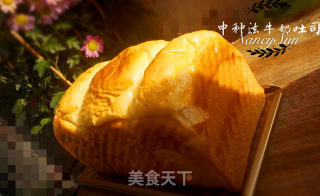 中种法牛奶吐司的做法