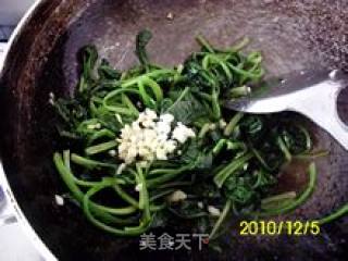 简单美味－蒜泥菠菜的做法步骤：2