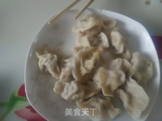 萝卜饺子的做法