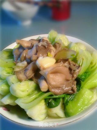 平菇油菜的做法步骤：2