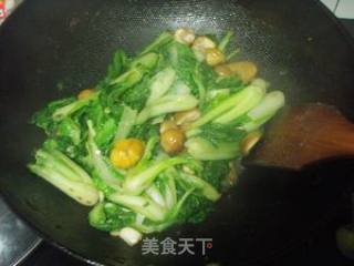 杭白菜炒栗子的做法步骤：4