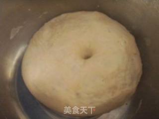 抹茶蜜枣吐司（48小时室温中种法）的做法步骤：5
