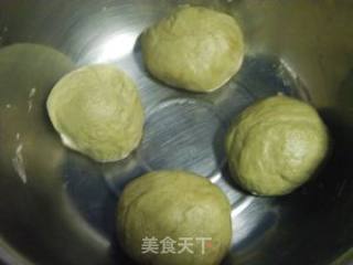 抹茶蜜枣吐司（48小时室温中种法）的做法步骤：5