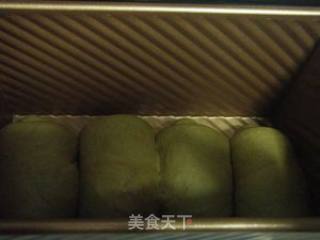 抹茶蜜枣吐司（48小时室温中种法）的做法步骤：5