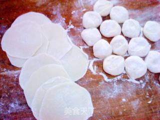 巧做美味——韭菜猪肉锅贴的做法步骤：2
