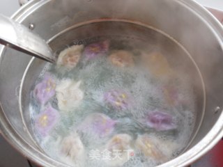 双色饺子的做法步骤：2