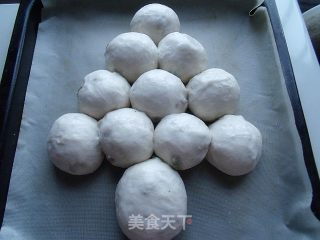 圣诞节就是要讨好孩子们——圣诞树面包的做法步骤：4