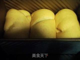 杂粮黑豆吐司的做法步骤：5