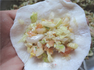 蚝油猪肉白菜饺的做法步骤：2