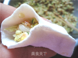 蚝油猪肉白菜饺的做法步骤：2