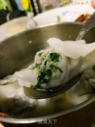青青绿菜油油——菜肉馄饨的做法