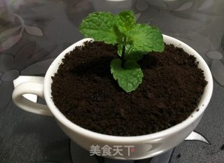川秀酸奶盆栽的做法