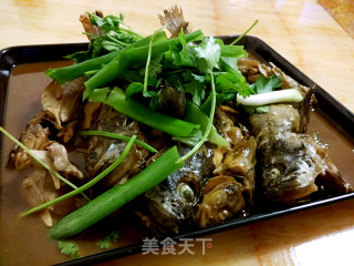 清炖黑鱼的做法
