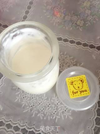 自制酸奶的做法